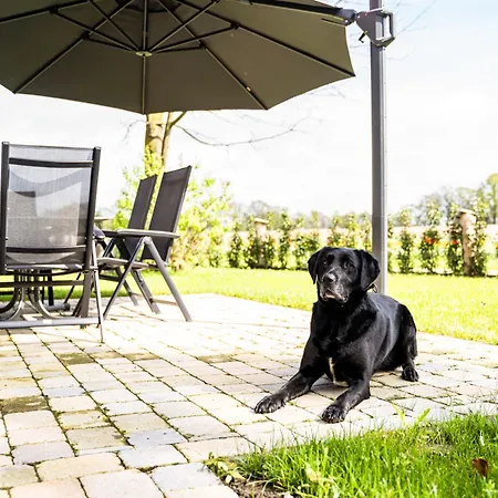 Mit Sauna Zum Alten Fritz アパート Versmold