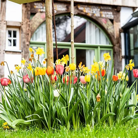 Apartment Mit Sauna Zum Alten Fritz Versmold