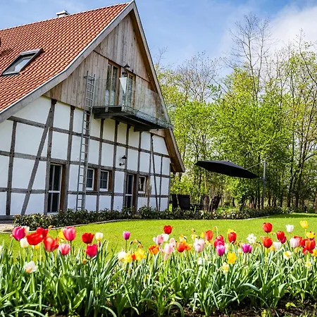 Mit Sauna Zum Alten Fritz Apartment Versmold