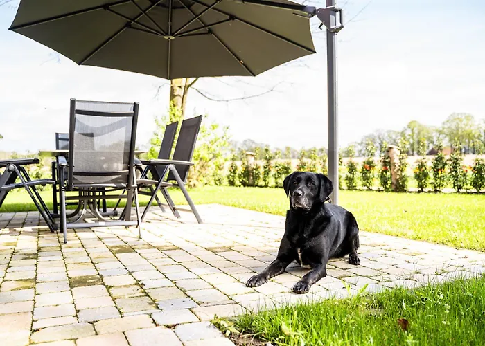 Mit Sauna Zum Alten Fritz アパート Versmold